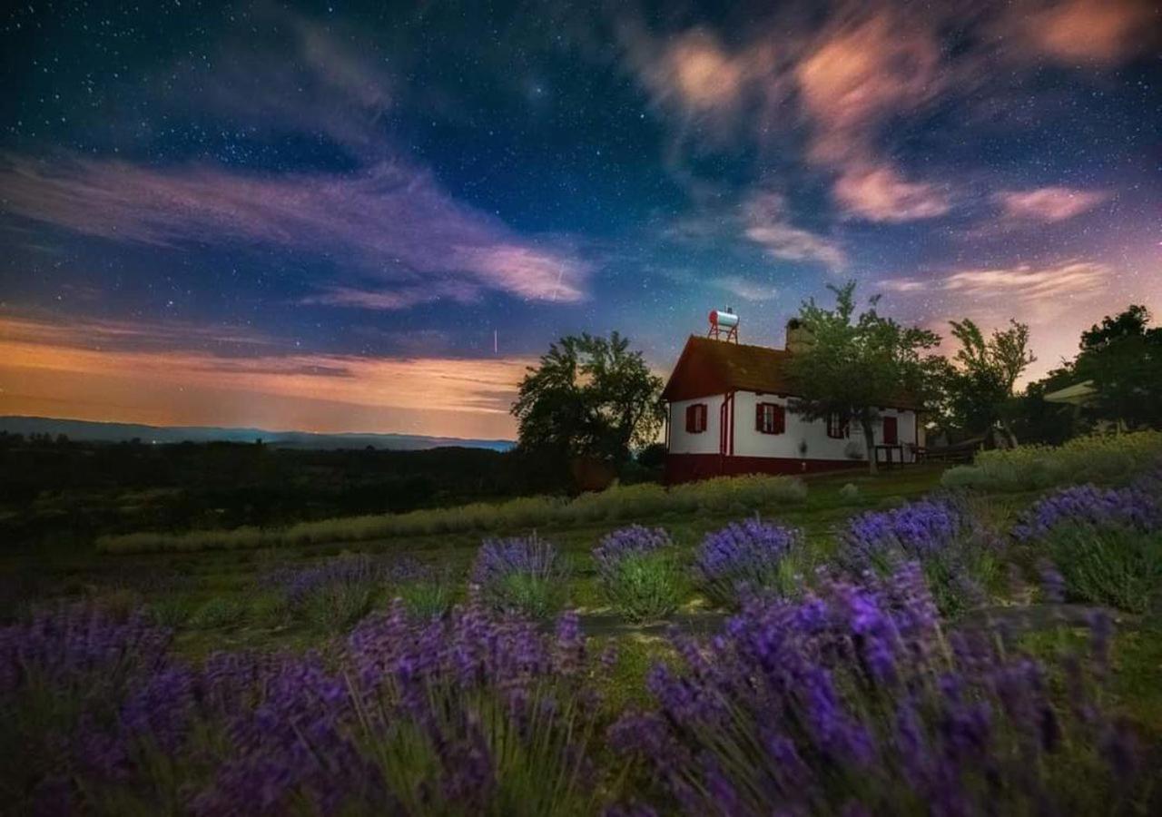 Lavanda Carasova Crasova 외부 사진