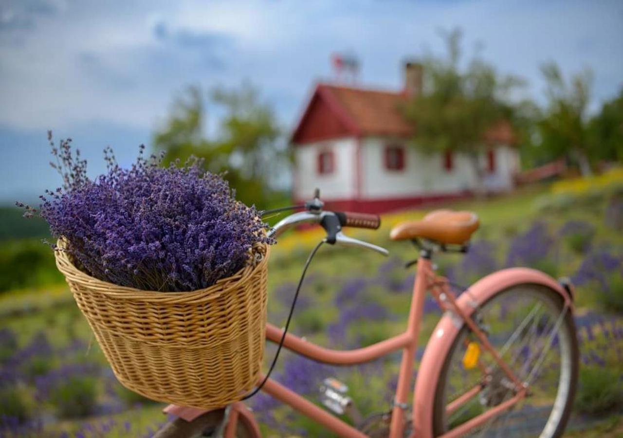 Lavanda Carasova Crasova 외부 사진