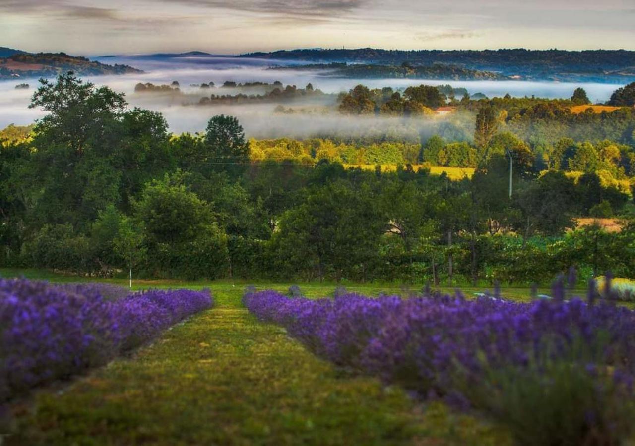 Lavanda Carasova Crasova 외부 사진